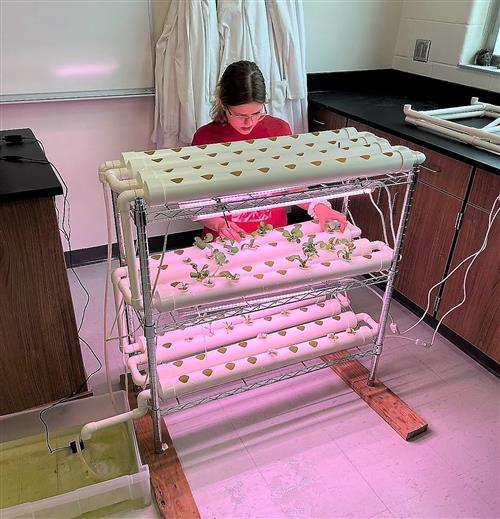 Student tending to plants in PVC filtration system